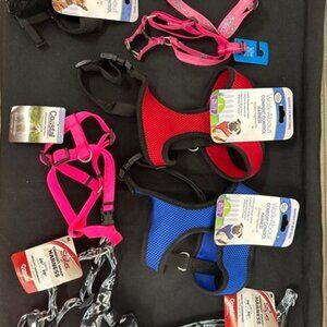 Harnesses and Collars